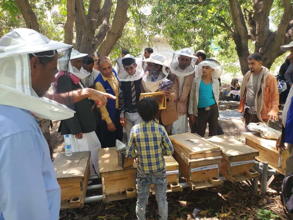 مدير عام مديرية المسراخ يدشن مشروع توزيع خلايا وطوائف النحل